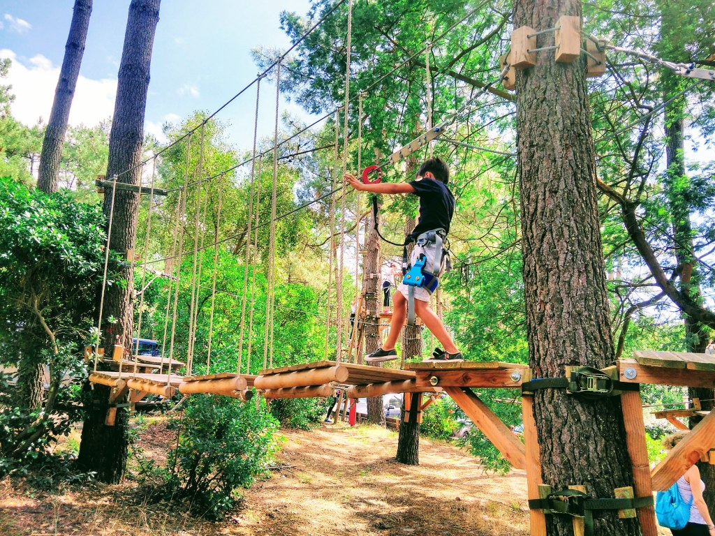 Parc accrobranche activité parcours bleu